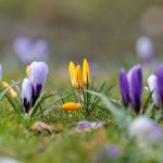 Wetter: Langsam weniger Wolken und kaum Regen in Hessen