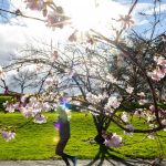 Wetterdienst-Vorhersage: Mildes und sonniges Wetter in Nordrhein-Westfalen