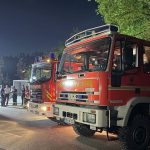 Feuerwehr: 15.000 Quadratmeter Wald in Brand – Großeinsatz