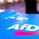 AfD-Verbotsverfahren?: Staatsrechtler schlägt AfD-Verbotsgutachten vor
