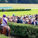Pferderennen: Beste Steher bei wichtigem Langstreckenrennen in Hoppegarten