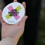 Protestaktionen: Demonstrationen in Hessen für AfD-Verbot