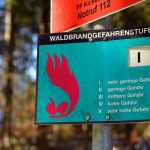 2024 fast 35 Hektar zerstört: Waldbrandgefahr: Frühwarnsysteme in Thüringen unnötig