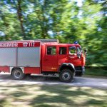 Waldbrände: Hohe Waldbrandgefahr in mehreren Landkreisen