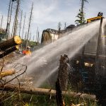 Feuerwehreinsatz: Waldbrand am Möhnesee schwelt weiter – aber kontrolliert