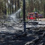 Feuerwehr: Zahlreiche Brände in Brandenburg – Feuer nahe dem Flughafen