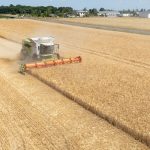 Landwirtschaft: Bauern vor der Ernte – „Liefert“ der neue Minister?