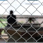 Migration: Ankerzentrum Fürstenfeldbruck bleibt bis 2030 in Betrieb