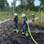 Brände: Feuerwehr bekämpft Waldbrand in Sprockhövel