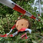 Unwetter: Große Schäden in Wäldern durch Unwetter – Feuerwehr am Limit