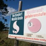 Hitzephase: Sachsen steht Hitzephase bevor – Waldbrandgefahr steigt