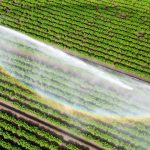 Klimawandel: Kommunen: Bürger auf Wasserknappheit bei Hitze vorbereiten