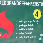 Trockenheit und Hitze: Zweithöchste Waldbrandwarnstufe in Teilen Thüringens