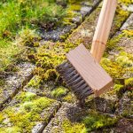 Gartentipps: Moosfreie Pflastersteine – diese drei Methoden helfen wirklich
