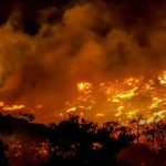 Brände: Waldbrand auf Kreta – Hotels und Dörfer evakuiert