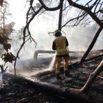 Waldbrände: Waldbrand in Thale im Harz gelöscht