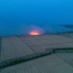 Brand in der Heide: Waldbrand in Gohrischheide – Entspannung in Brandenburg