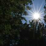 Wetter: Sonnige Aussichten zum Wochenende
