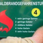 Brände: Waldbrandgefahr steigt in Brandenburg am Wochenende wieder