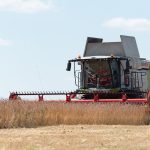 Landwirtschaft: Im Zeichen der Trockenheit – Landwirte starten Getreideernte