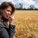 Kritik an EU-Haushaltsplänen: Kaniber befürchtet EU-Kürzungen für die Landwirtschaft