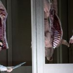 Musik: „Pénélope“-Premiere in München: Oper in Zeitlupe