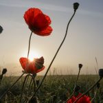 Wechselhaftes Wetter: Wieder mehr Sonne im Südwesten