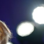 US-Präsident unter Druck: Medien: Trump über eigenen Namen in Epstein-Akten informiert