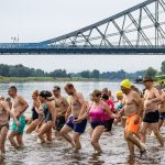 Schwimmen in der Elbe: Hunderte Teilnehmer beim Elbeschwimmen in Dresden