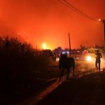 Feuerwehr kämpft in Türkei und Bulgarien gegen zahlreiche Waldbrände