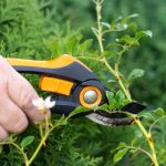 Sommersaison: Fiskars, Einhell und Substral: Garten-Angebote am Wochenende
