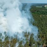 Brandsaison: Waldbrandgefahr in Brandenburg gering – steigt leicht