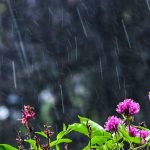 Wetter: Wolkig mit Aussicht auf Besserung