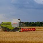 Landwirtschaft: Getreide-Anbau wächst – Auch Eiweißpflanzen legen zu