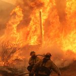 Waldbrände in Kalifornien: Hitze und Flammen in Kalifornien – Menschen auf der Flucht