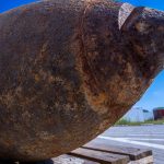 Altmunition am Meeresboden: Wismarer Bucht: Taucher sortieren Altmunition unter Wasser