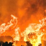 Griechische Feuerwehr erwartet „sehr schwierigen Tag“ bei Kampf gegen Waldbrände
