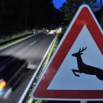 Unfälle: 19-Jähriger weicht Rehen aus – Auto überschlägt sich
