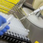 Krebs oder Diabetes: Rund ein Drittel meidet Informationen zu Krankheiten
