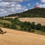 Ernte: Überdurchschnittliche Getreideernte in Thüringen