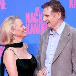 Beziehung von Pamela Anderson und Liam Neeson: Es diente offenbar nur zur Filmwerbung