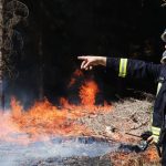 Löschen im Wald: Mehr kleine Waldbrände im trockenen Frühjahr