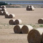 Wetterausblick: Bis zu 27 Grad – Wechselhaftes Wetter zum Augustende