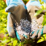 Sommersaison: 6in1 Komplett-Rasendünger für 30 Euro statt 70 Euro: Die Garten-Angebote am Dienstag