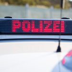 Tierschutz: Mann bietet Welpen auf Flohmarkt an – Polizistinnen verletzt