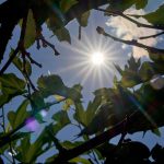 Vorhersage: Sonniges Wetter am Wochenende
