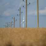 Energiepolitik: ZURÜCKZIEHUNG – Umweltverband WWF sieht Südwesten bei Energiewende hinten