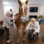 Haflinger Wega: Kommt ein Pferd in den Speisesaal – Stute besucht Pflegeheim