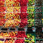 Sparen bei Lebensmitteln: Lohnen sich Discounter, Treuepunkte-Apps und Co?
